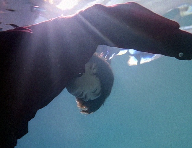 The Young and the Relentless